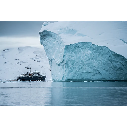 Arctic Council - Specialised