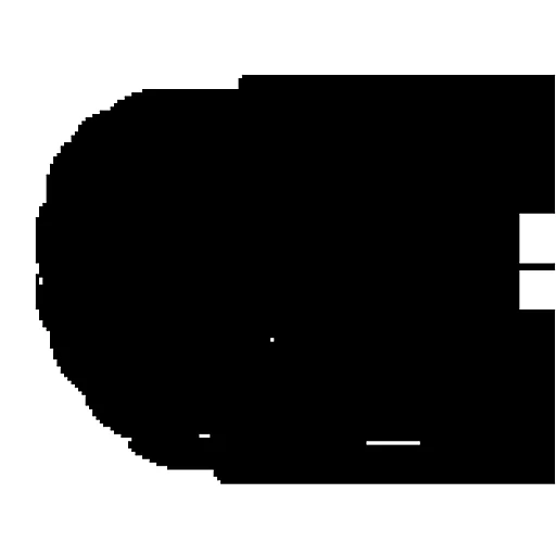 NISMUN 2024 logo