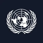 Security Council 