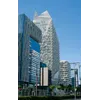 Adnane LourhzalProfile Picture
