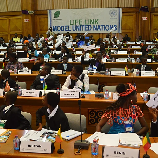 NiMSA Liaison Office to the United Nations