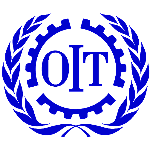 OIT - Intermediate - Language of the Committee: Spanish