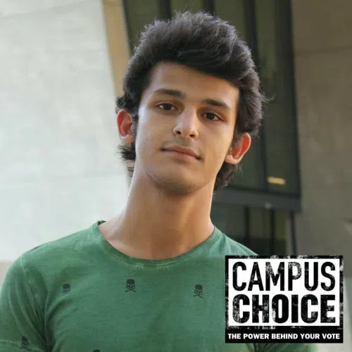 Fouad El amine