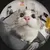 Vagish GuptaProfile Picture