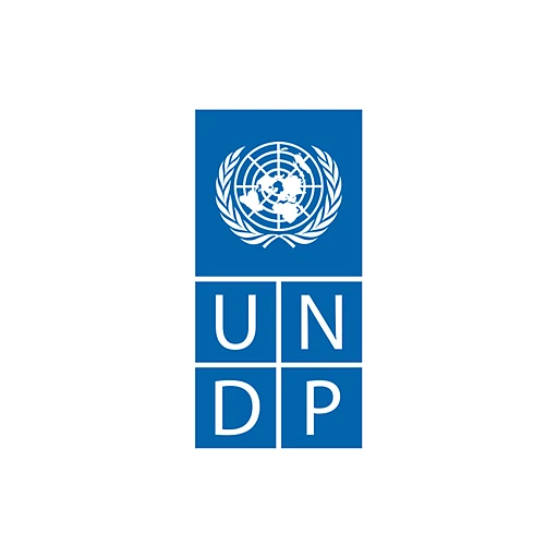 UNDP (INTERCON)