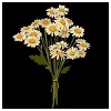 Abhishree SkProfile Picture
