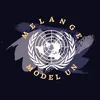 Melange MUN - Mock Conference