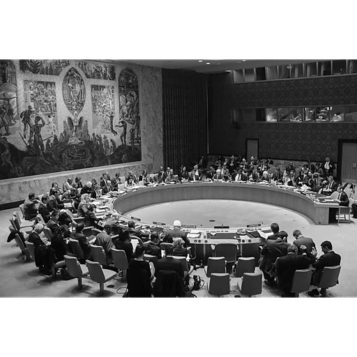Security Council