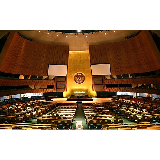 United Nations General Assembly 