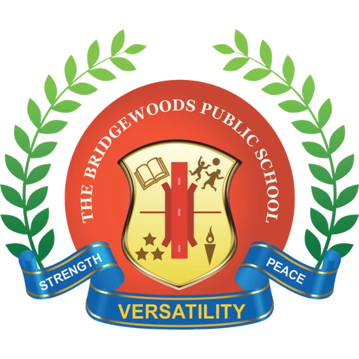 BPSMUN 2024 logo