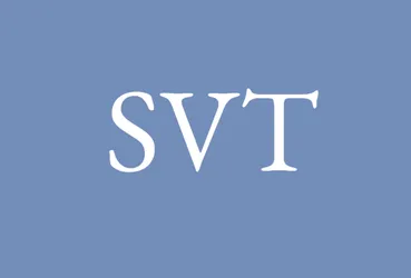 Sofia Victoria Turcanu