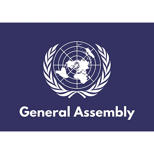 United Nations General Assembly