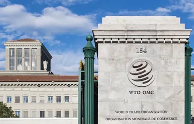 Model WTO 2026