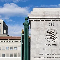 Model WTO 2026Profile Picture