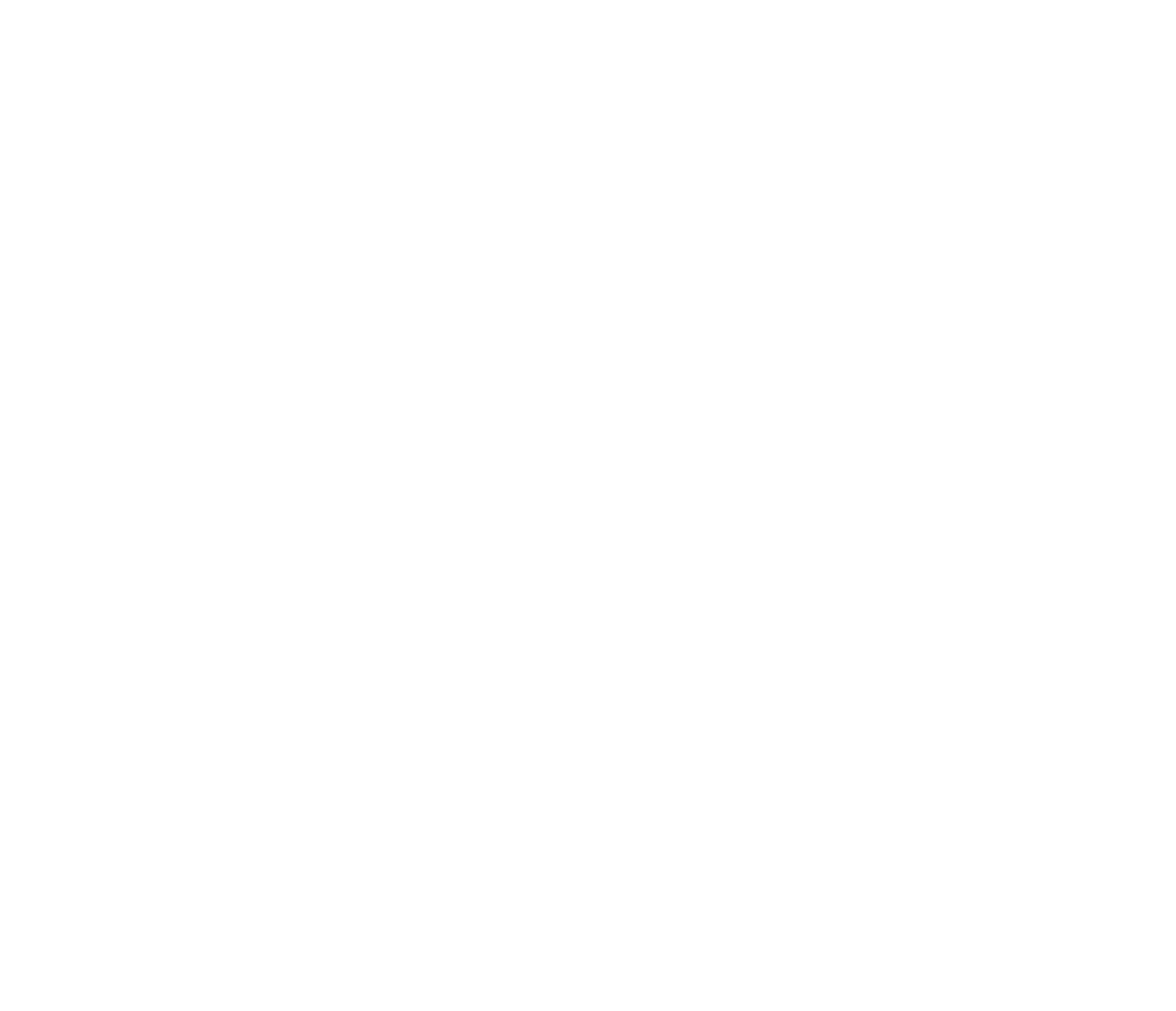 CMSIMUN 2024