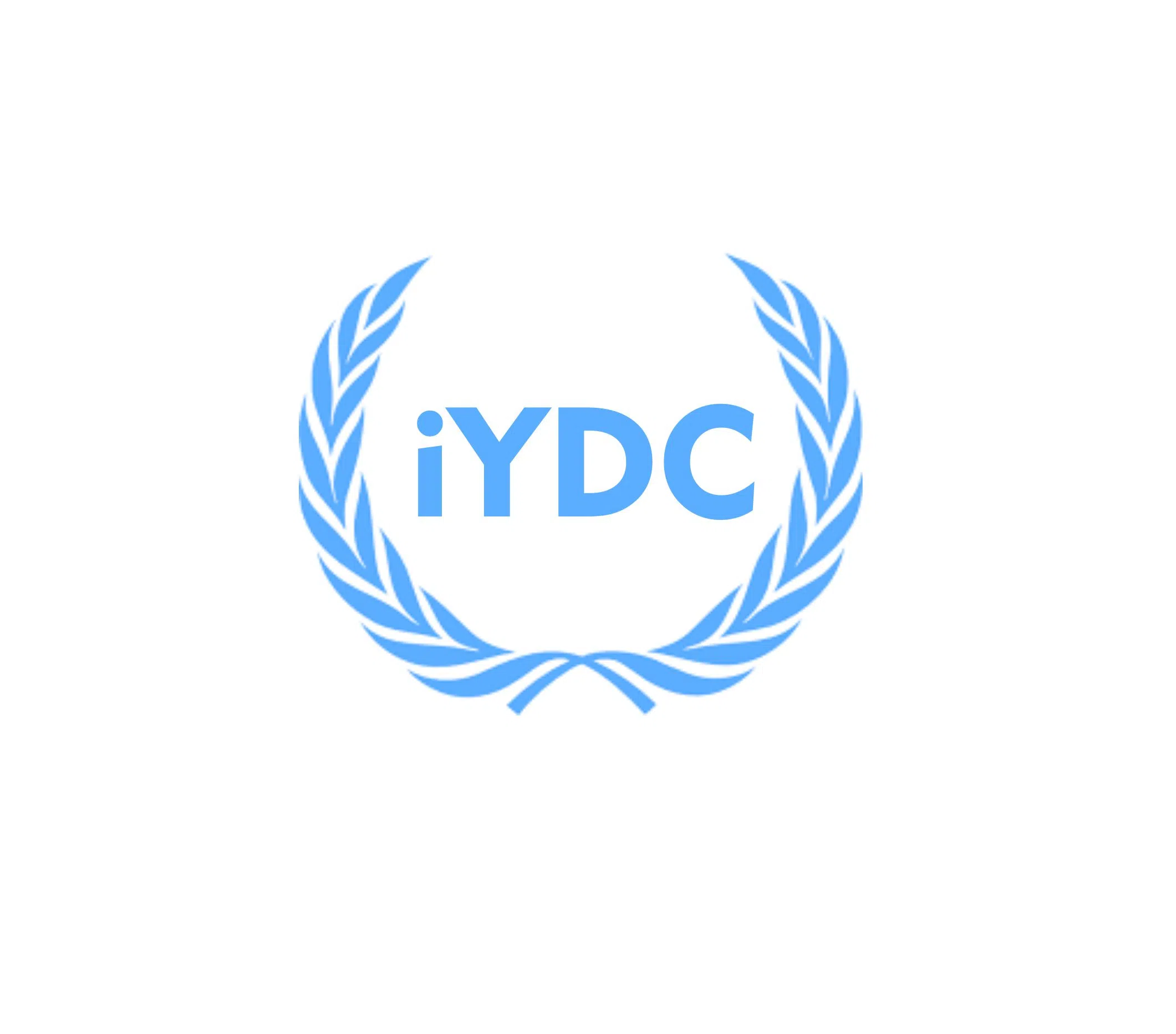 International Youth Diplomacy Conference 2017