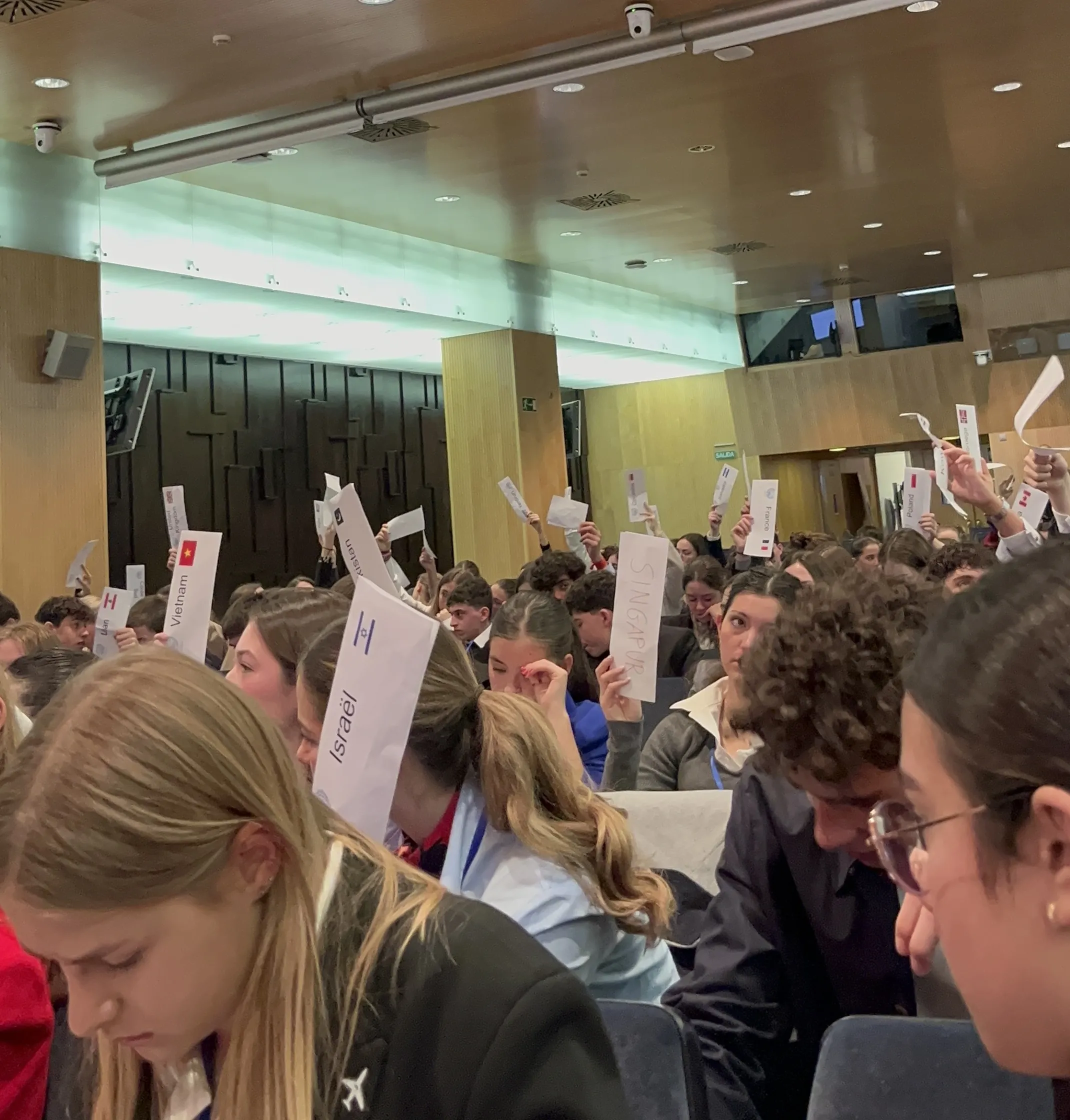 DMUN Europe 2024