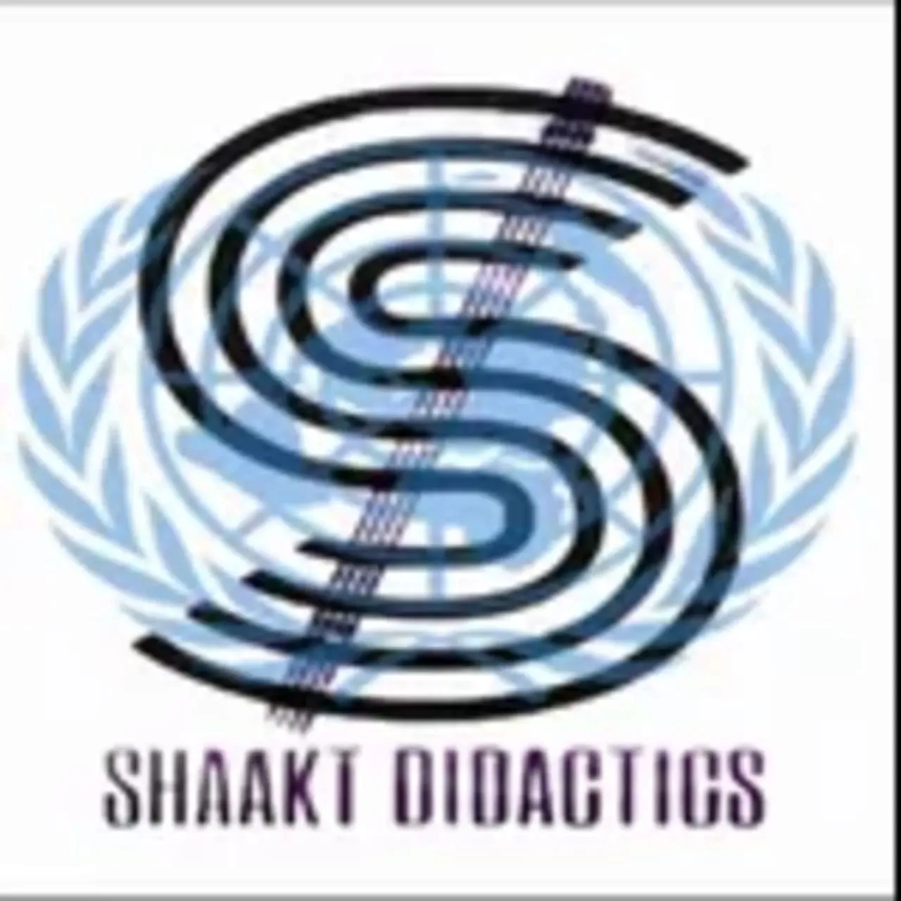 SDSMUN 2025
