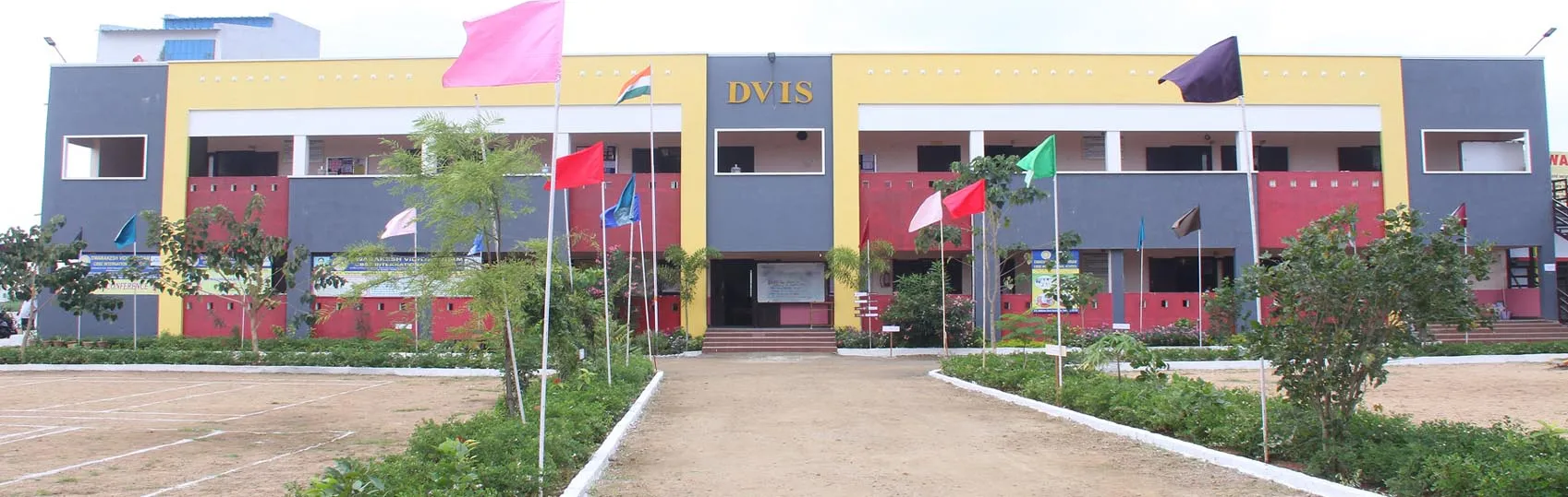 DVIS-SAFS 2024