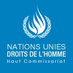 Conseil des droits de l'homme des Nations unies - Niveau intermediaire