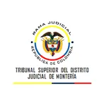 High Court of Montería - Criminal Court