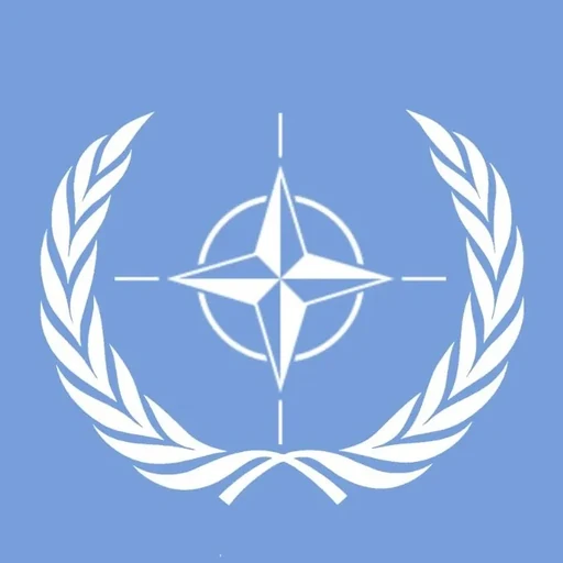 North Atlantic Treaty Organization