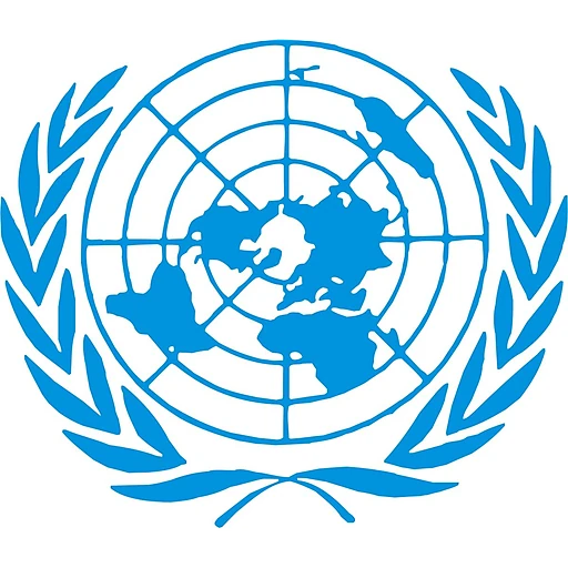 Economic and Social Council