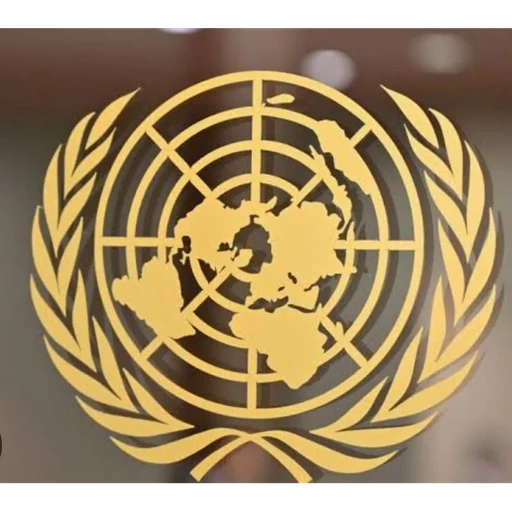 United Nations Security Council