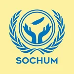 The United Nations General Assembly Third Committee (SOCHUM)