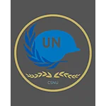 United Nations Security Council