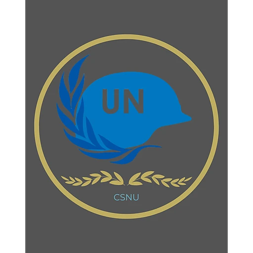 United Nations Security Council