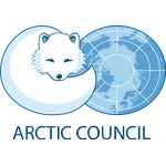 Futuristic Arctic Council (FAC)