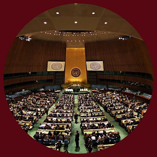 The Ad-Hoc Committee of the Secretary-General