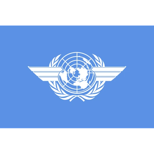 International Civil Aviation Organization (ICAO)