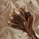 Elamelek ÇolakProfile Picture