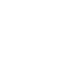 MUN@ Tokyo International University Online Chapter