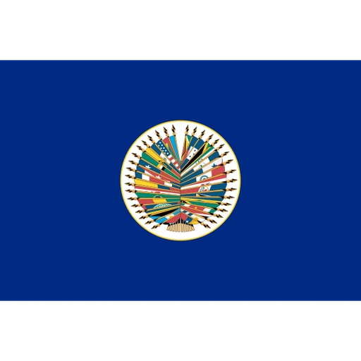 Organización de los Estados Americanos (Spanish speaking committee)