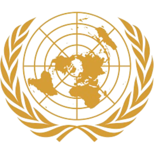 United Nations Security Council (UNSC)