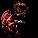 Raevanth RajeshProfile Picture