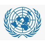 United Nation Security Council (UNSC)