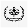 IPBMUN ClubProfile Picture