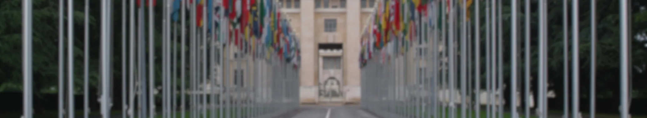 IAMUN II 2024
