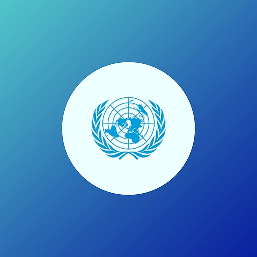 UN Security Council
