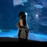 Anoushka PandaProfile Picture