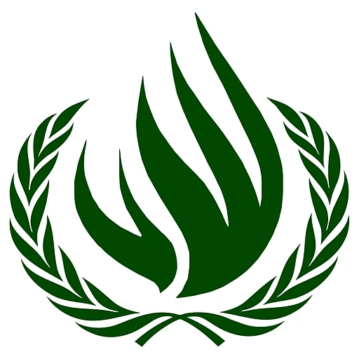 United Nations Human Rights Council (HRC) - Beginner