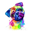 Arkira NoonpakdeeProfile Picture