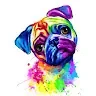 Arkira NoonpakdeeProfile Picture