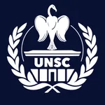 United Nations Security Council (UNSC)