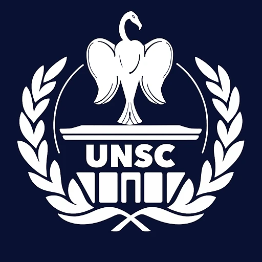 United Nations Security Council (UNSC)