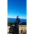 Arwa HachimiProfile Picture